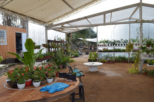 Opiniones de Jardin-Vivero Flora Nativa en Santa Cruz - Centro de jardinería