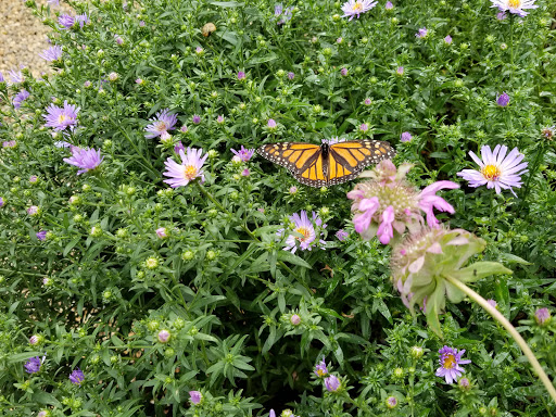 Golf Club «Pinecrest Golf Club», reviews and photos, 212 Prentice St, Holliston, MA 01746, USA