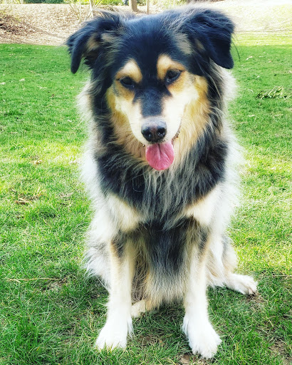 Park «Kenilworth Park», reviews and photos, SE Holgate Blvd & Southeast 34th Avenue, Portland, OR 97202, USA