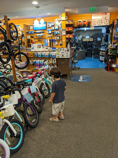 Bicycle Store «Princeton Sports», reviews and photos, 6239 Falls Rd, Baltimore, MD 21209, USA