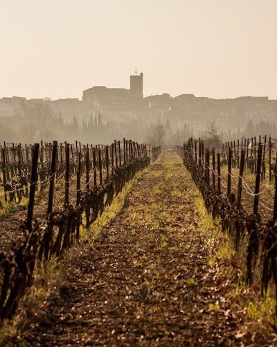 Domaine de Paderc à Servian