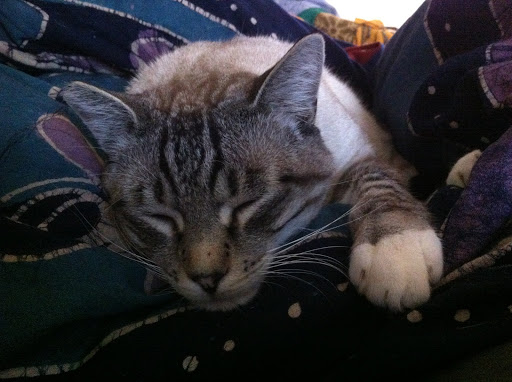 Golden Pond Veterinary Services image