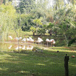 Photo n°8 de l'avis de Ciro.a fait le 08/02/2022 à 00:47 sur le  San Bartolomeo Green Events - Experience Park à Caiazzo