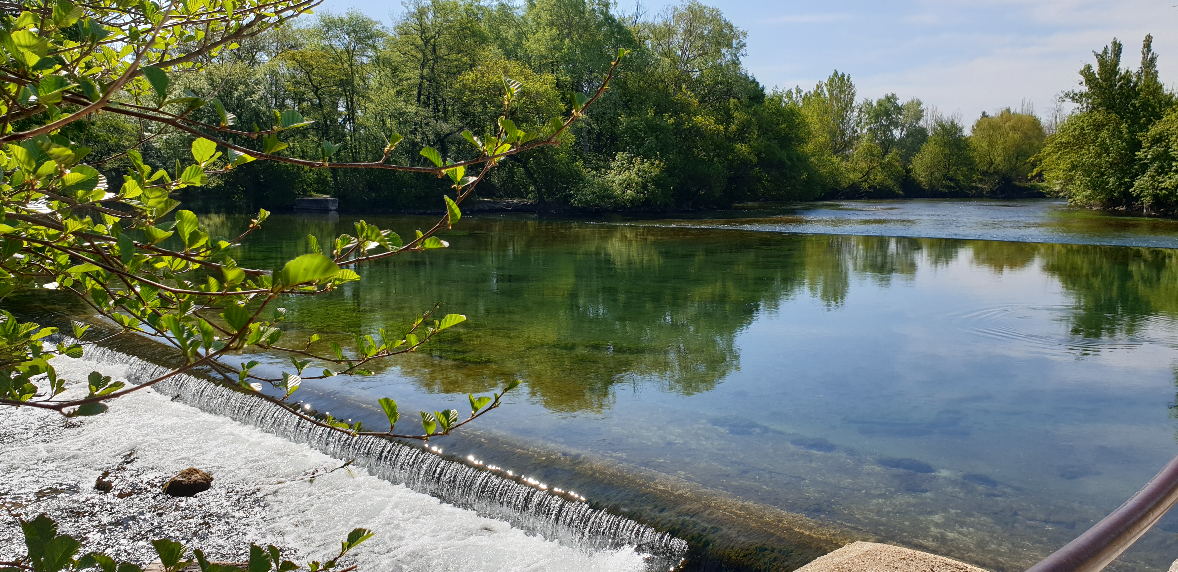 Photo n° 1 de l'avis de Veronique.e fait le 17/05/2021 à 11:38