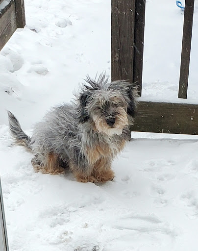 Pet Supply Store «Petco Animal Supplies», reviews and photos, 200 McMahan Blvd, Marion, OH 43302, USA