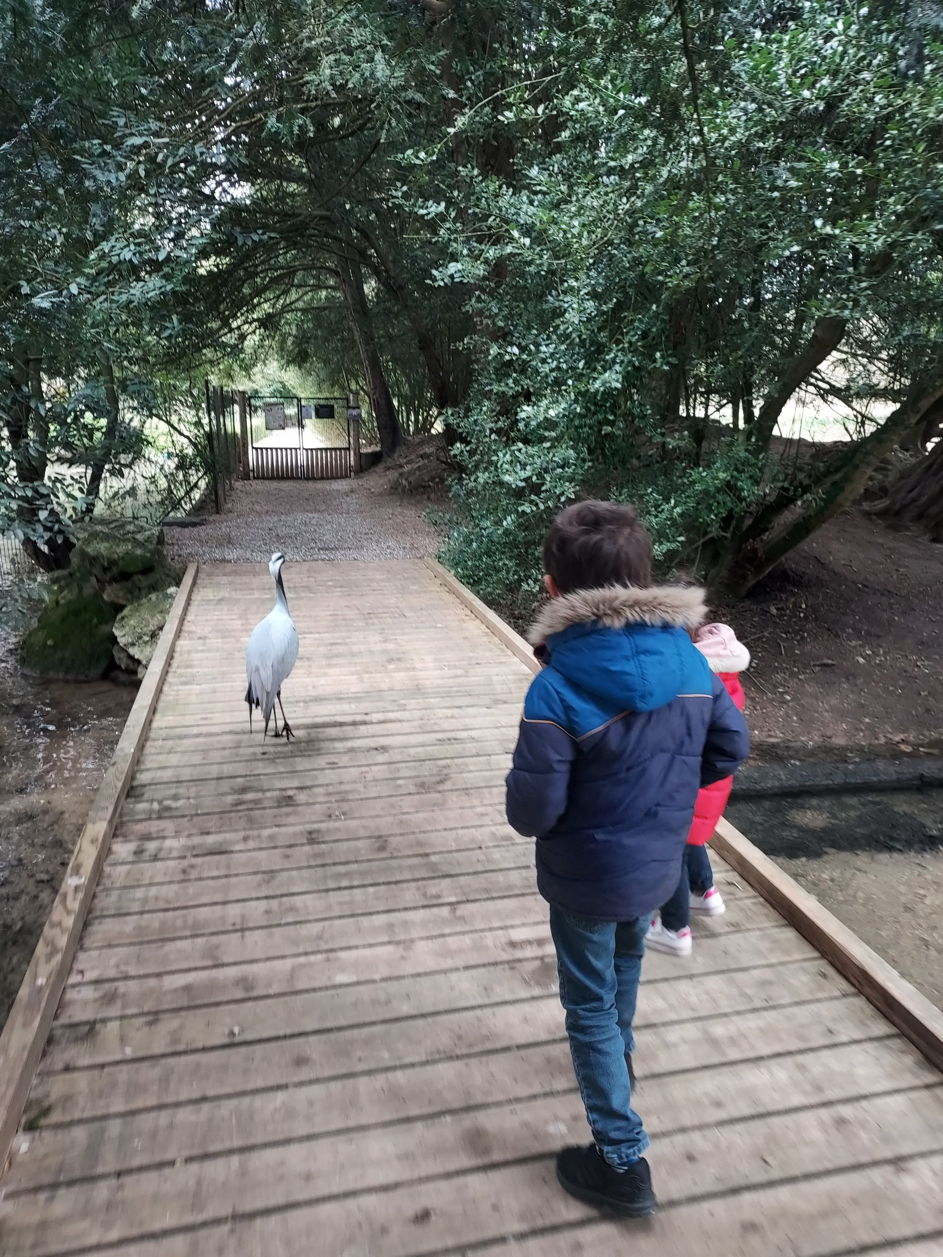 Photo n° 3 de l'avis de Camille.u fait le 13/04/2022 à 06:52