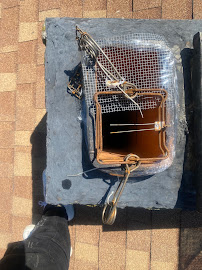 Pest Eviction - Photo 6 - Car repair in , Cleveland