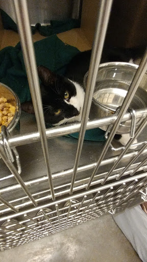 Pet Supply Store «PetSmart», reviews and photos, 3131 E Main St, Mohegan Lake, NY 10547, USA