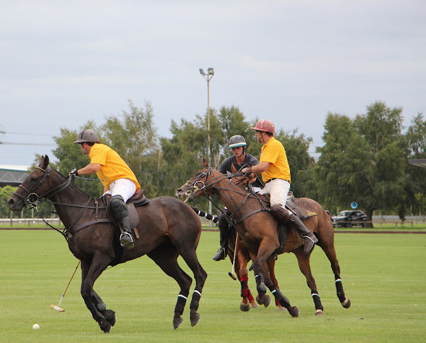 Reviews of Hawkes Bay Polo Club in Hastings - Gym