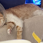 Photo n° 2 de l'avis de Maud.o fait le 08/11/2022 à 01:27 pour Leroux Nicolas à Granville