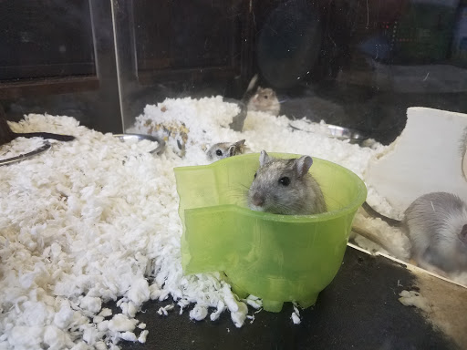 Pet Supply Store «Monster Pets», reviews and photos, 1575 N 52nd St, Philadelphia, PA 19131, USA