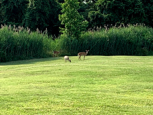 Public Golf Course «Hamptons Golf Course», reviews and photos, 320 Butler Farm Rd, Hampton, VA 23666, USA