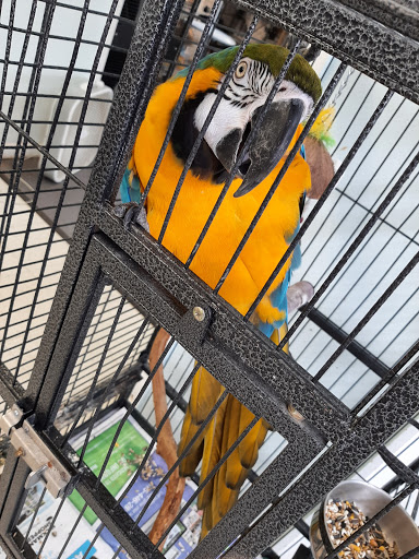 Pet Store «Adventure Birds of Bon Aqua», reviews and photos, 9600 TN-46, Bon Aqua, TN 37025, USA