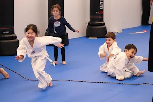 Tiger Kicks Martial Arts image