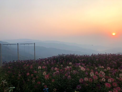 Top 20 cửa hàng trang trí Huyện Thuận Châu Sơn La 2022