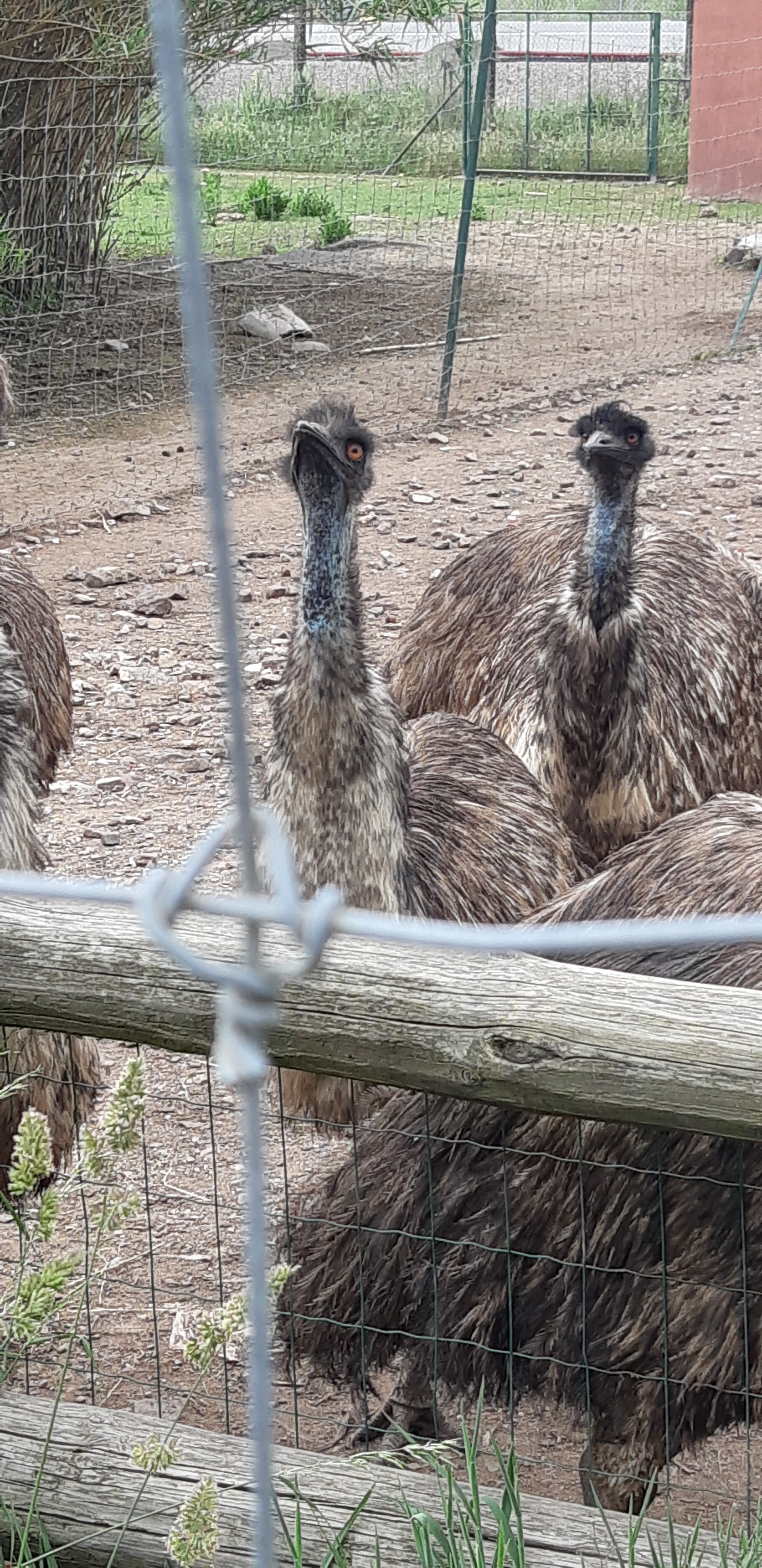 Photo n° 7 de l'avis de Laëtitia.a fait le 07/05/2018 à 17:38