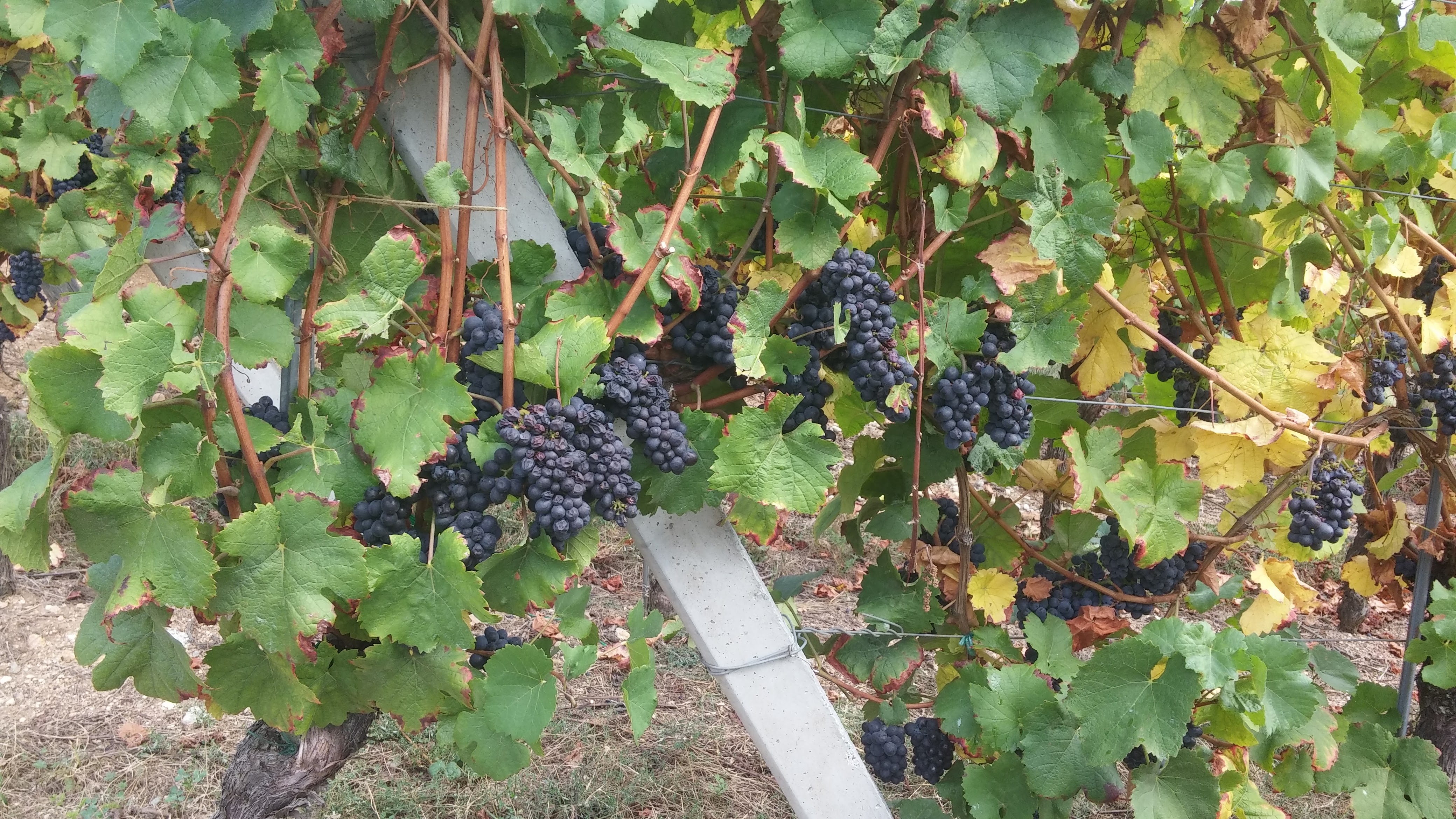 Photo n° 7 de l'avis de Daniëlle.u fait le 13/09/2018 à 12:01