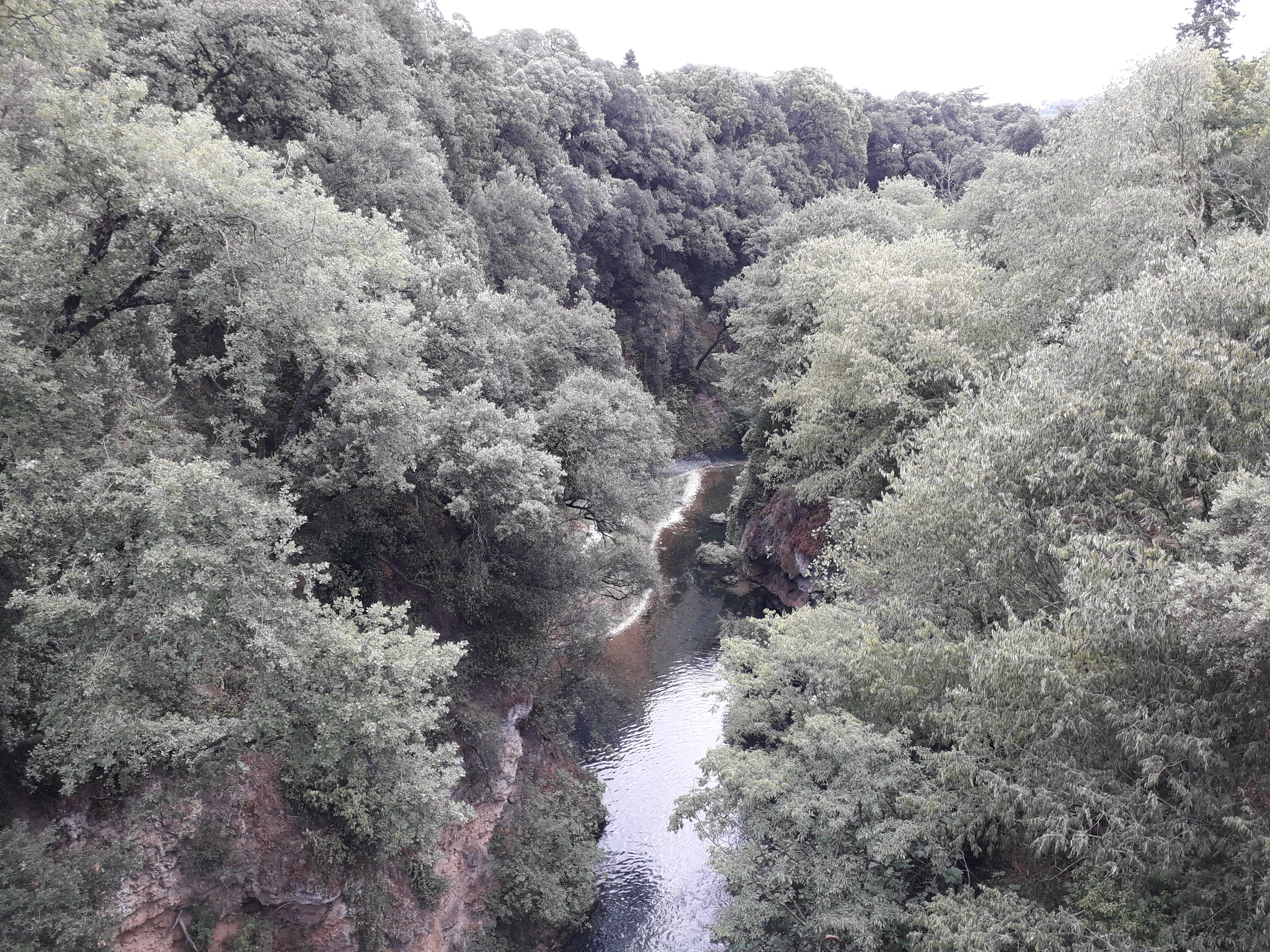 Photo n° 3 de l'avis de olivier.a fait le 16/08/2021 à 16:31