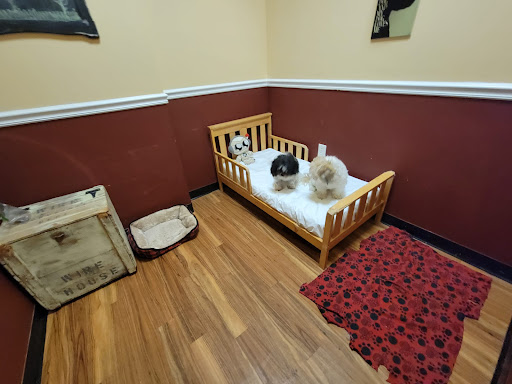 Pet Groomer «Hollywood Houndz Boutique, Spa & Hotel», reviews and photos, 4243 W Lake Mary Blvd, Lake Mary, FL 32746, USA