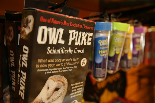 Toy Store «Genuine Toy Co.», reviews and photos, 550 Forest Ave Suite 8, Plymouth, MI 48170, USA