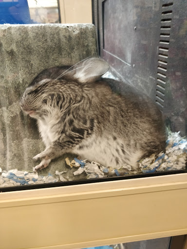 Pet Supply Store «PetSmart», reviews and photos, 4120 E 4th St, Ontario, CA 91764, USA