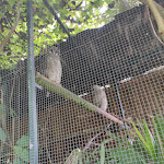 Photo n° 2 de l'avis de Caroline.u fait le 11/08/2021 à 13:23 pour Zoo d'Asson à Asson