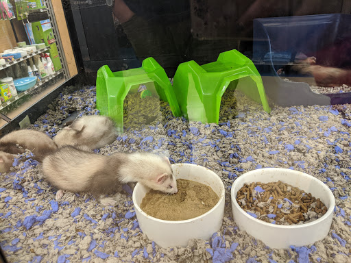 Pet Supply Store «Petco Animal Supplies», reviews and photos, 7907 State Highway N, Dardenne Prairie, MO 63368, USA
