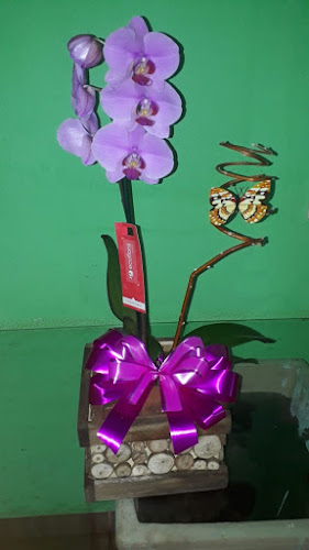 Número de telefone de Floricultura 4 Estações