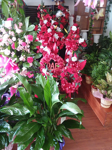 Florist «Send Your Love Flowers & Balloons», reviews and photos, 1417 SW Military Dr, San Antonio, TX 78221, USA