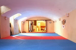 Seijin Dojo - Ninjutsu and Self-Defense Center image