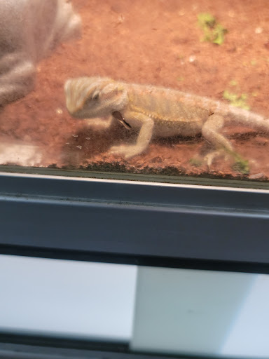 Pet Supply Store «Valley Feed», reviews and photos, 1486 Freedom Blvd, Watsonville, CA 95076, USA