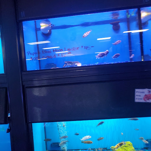 Pet Store «Pet Land», reviews and photos, 1450 Fort Campbell Blvd, Clarksville, TN 37042, USA