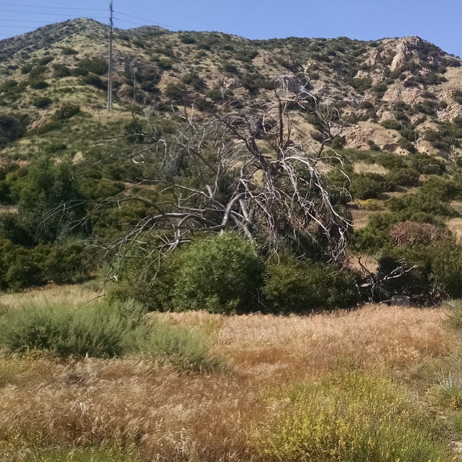 Stetson Ranch Park