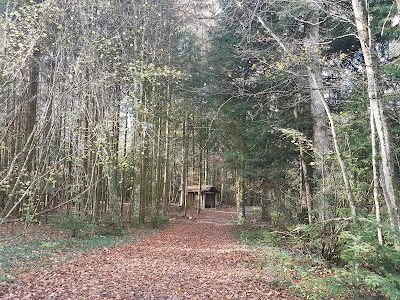 Cabane de chasse du Gresson à Cirey-sur-Vezouze