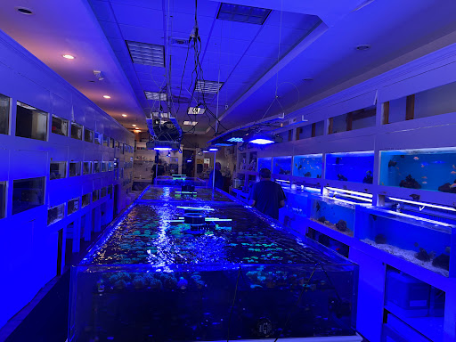 Tropical Fish Store «Advanced Marine Aquatics», reviews and photos, 1083 Willis Ave, Albertson, NY 11507, USA