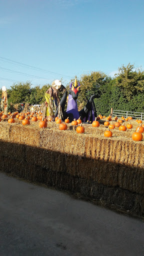 Landscaper «Landscape Source», reviews and photos, 167 Ole W Ln, Rockwall, TX 75087, USA