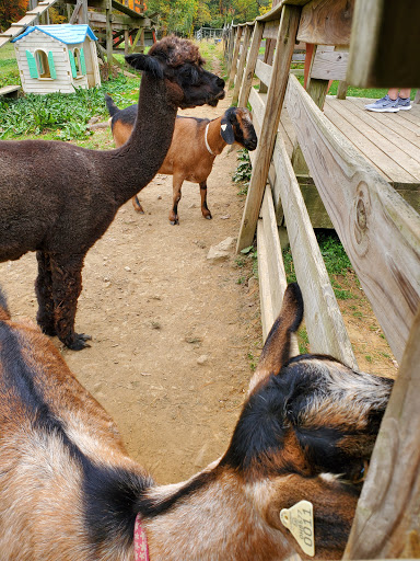 Vineyard «The Winery at Wolf Creek», reviews and photos, 2637 S Cleveland Massillon Rd, Barberton, OH 44203, USA