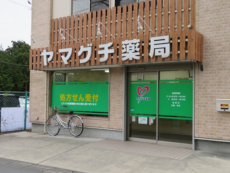 ヤマグチ薬局大和店