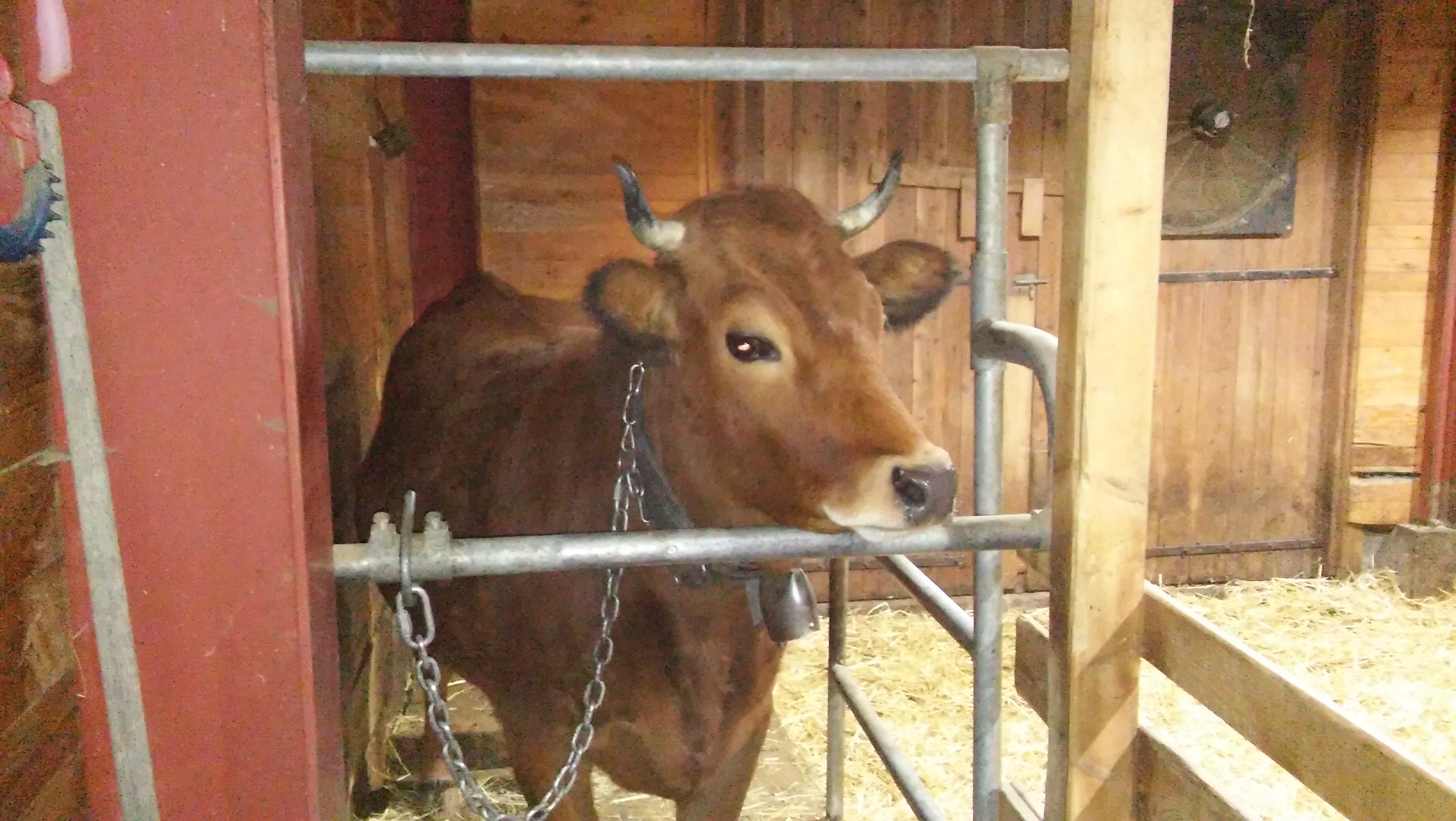 Photo n° 1 de l'avis de erichot.a fait le 20/12/2016 à 16:50