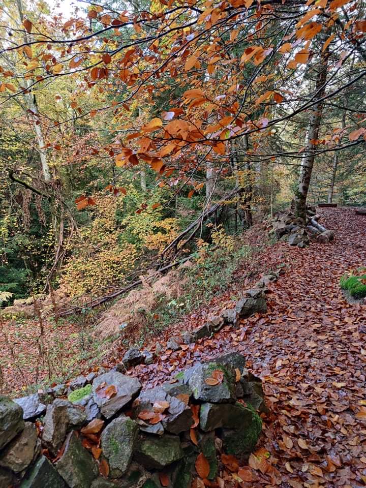 Photo n° 1 de l'avis de Gab.i fait le 05/11/2021 à 16:28