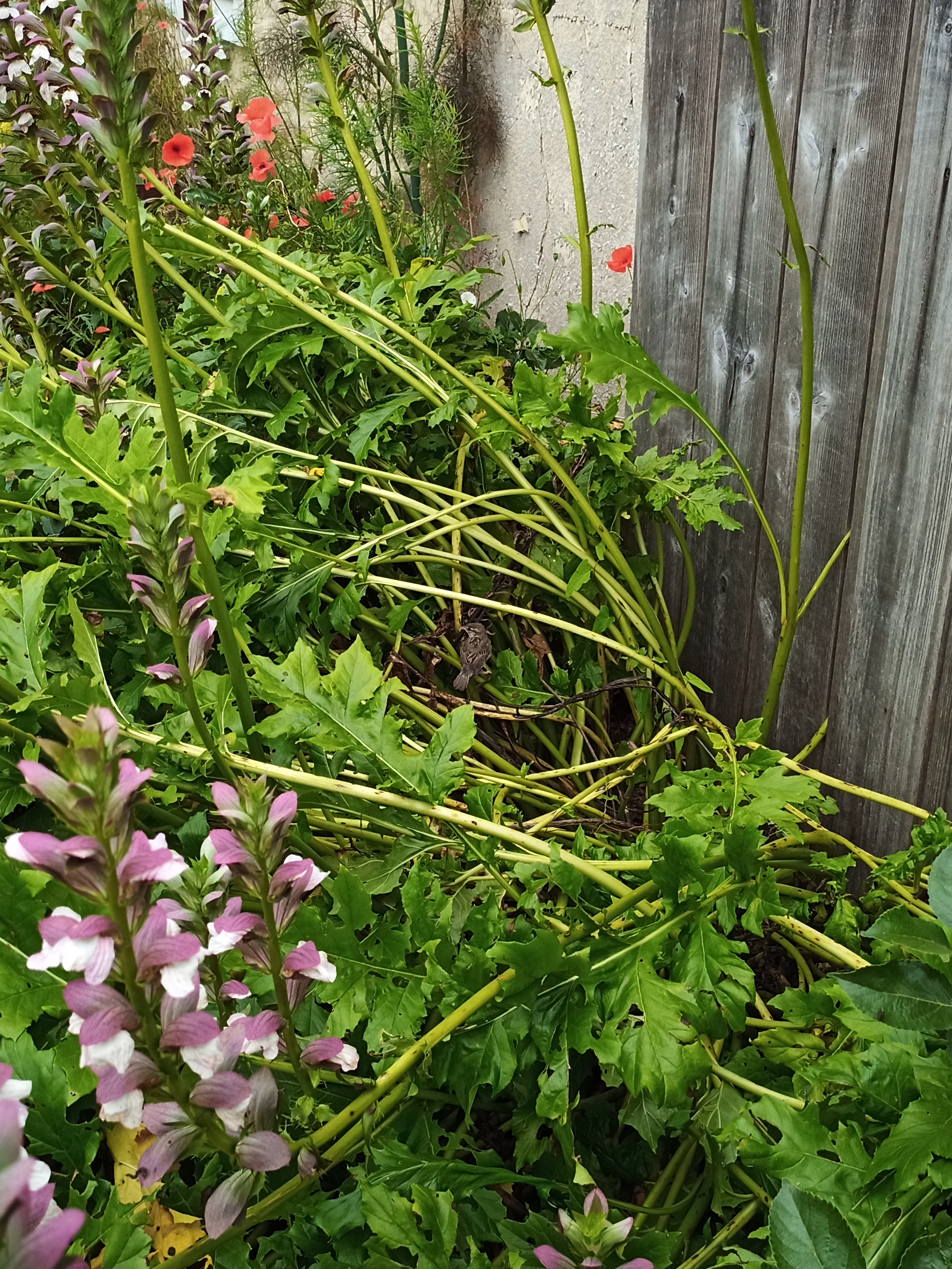 Photo n° 7 de l'avis de Maria.e fait le 09/07/2021 à 14:37