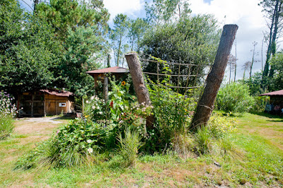 Association La Galupe à Mimizan