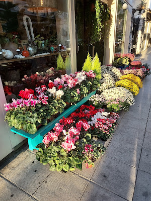 L'OLIVIA PLANTS & FLOWERS à Nice