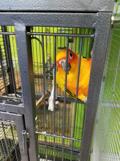 Pet Store «Ecology Pet», reviews and photos, 111 Mayo Rd, Edgewater, MD 21037, USA