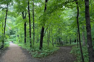 Henry's Woods Park image