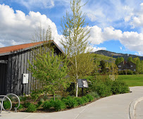 Rollins Landscaping, Inc. - Photo 5 - Car repair in Sandy, UT, West Jordan