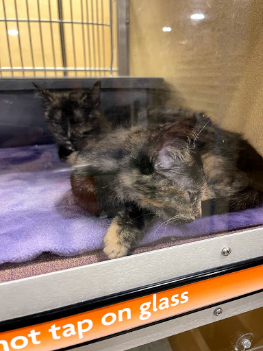 Pet Supply Store «PetSmart», reviews and photos, 2865 Oak Valley Dr, Ann Arbor, MI 48103, USA