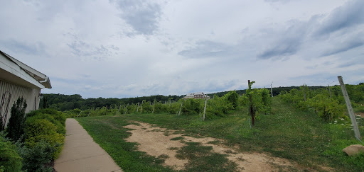 Winery «Spyglass Ridge Winery», reviews and photos, 105 Carroll Rd, Sunbury, PA 17801, USA