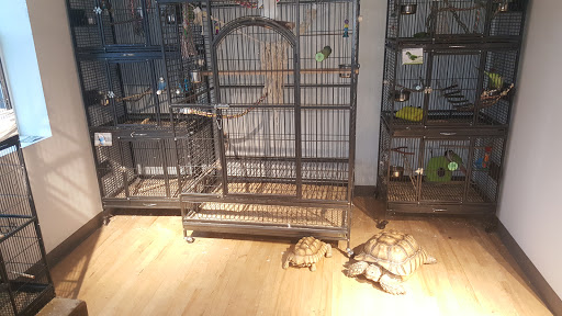 Pet Store «Critter Cabana», reviews and photos, 516 E 1st St, Newberg, OR 97132, USA