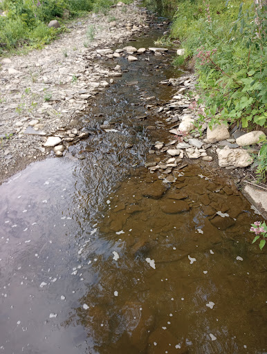 Campground «Sheridan Bay Park», reviews and photos, 3193 Lake Shore Dr E, Dunkirk, NY 14048, USA